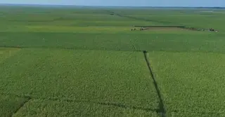 সুনামগঞ্জে আমন উৎপাদনে শঙ্কা, কৃষি অফিসের অসহযোগিতার অভিযোগ